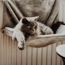 Ne&No - camita para gatos para radiador - ajustable-9