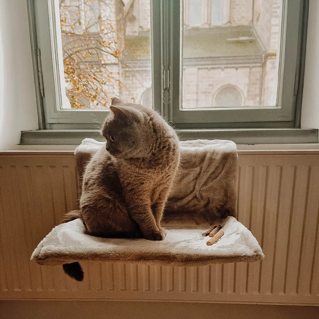 Ne&No - lettino per gatti da termosifone - regolabile