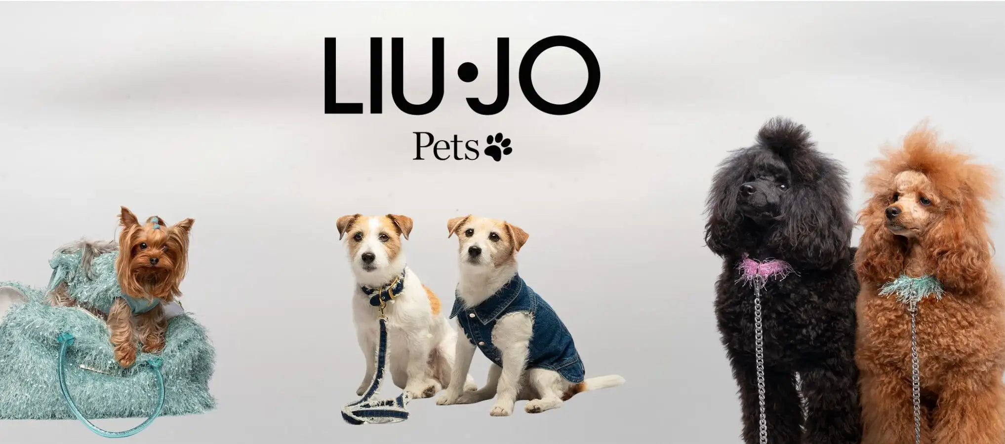 Liu jo banner 1
