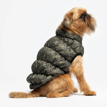 Liu Jo - Bombello - Impermeabili