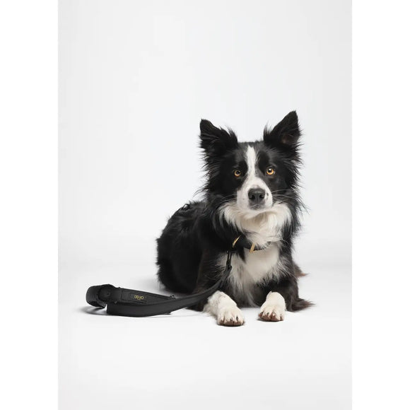 Liu Jo - Guinzaglio Big Girevole - Nero - Guinzagli