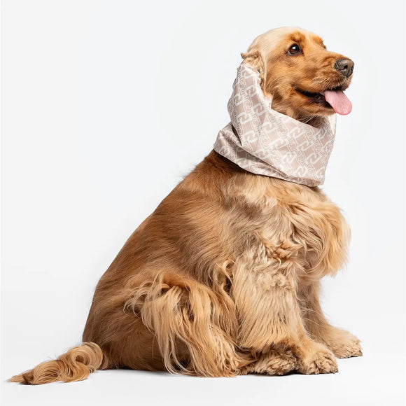 Liu Jo - Paraorecchie per cani - Maglioncini