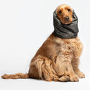 Liu Jo - Paraorecchie per cani - Maglioncini