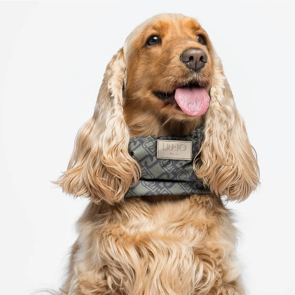 Liu Jo - Paraorecchie per cani - Maglioncini