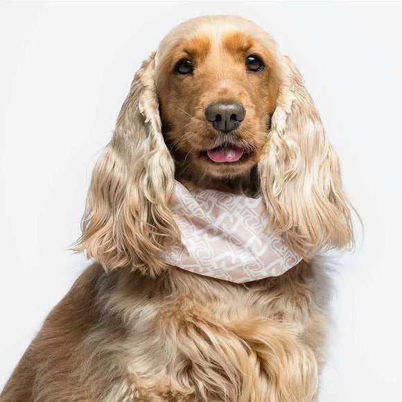 Liu Jo - Paraorecchie per cani - Maglioncini