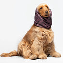 Liu Jo - Paraorecchie per cani - Maglioncini