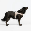 Liu Jo - Pettorina Big Monogram - Pettorine