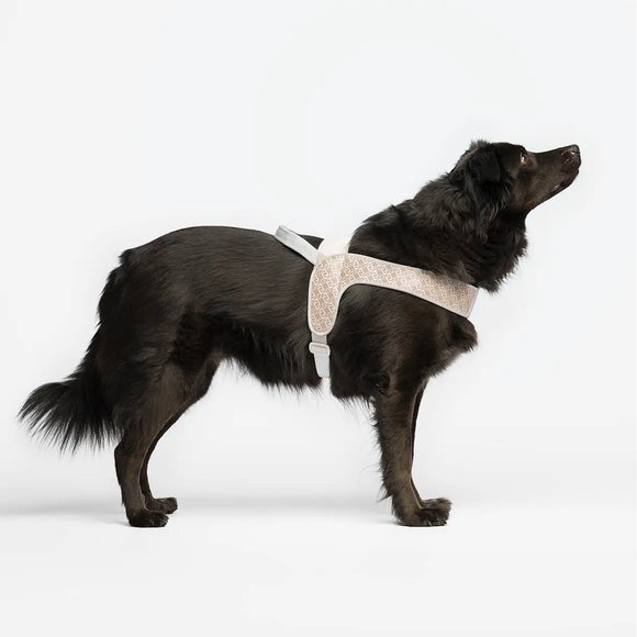 Liu Jo - Pettorina Big Monogram - Pettorine