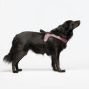 Liu Jo - Pettorina Big Monogram - Pettorine