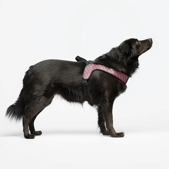 Liu Jo - Pettorina Big Monogram - Pettorine