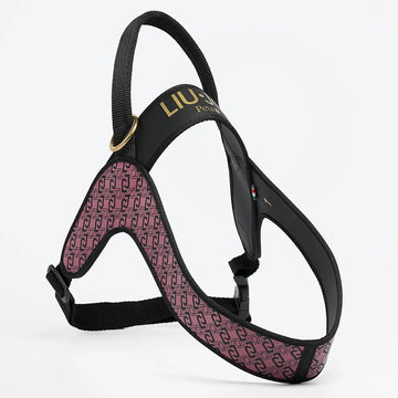 Liu Jo - Pettorina Big Monogram - Rose Animalier / 1 - Pettorine