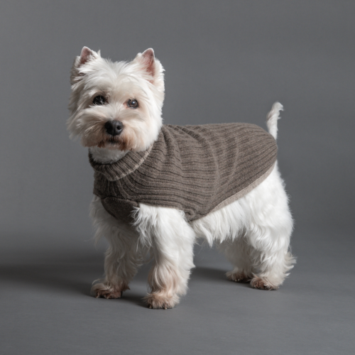 Dove Grey Ribbed Dog Sweater