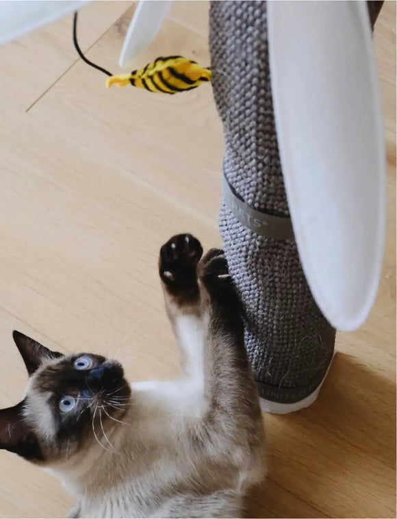 United Pets - Margareth