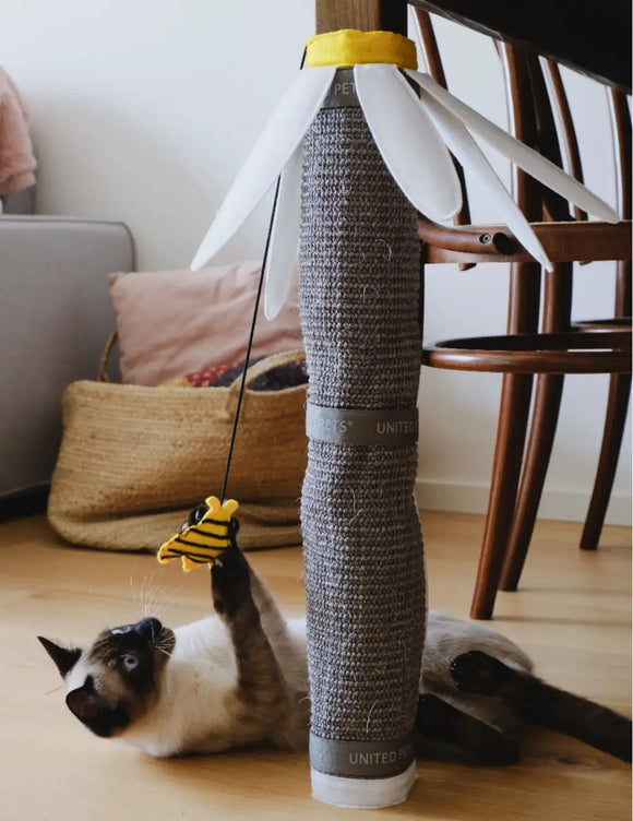 United Pets - Margareth