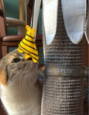 United Pets - Margareth-7