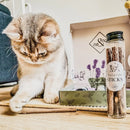 Ne&No® Matatabi-Stäbchen für Katzen - 3er-Set in Geschenkbox-5