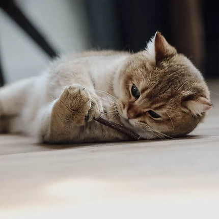 Ne&No® Bastoncini Matatabi per Gatti - Set da 3 in Scatola Regalo - 0