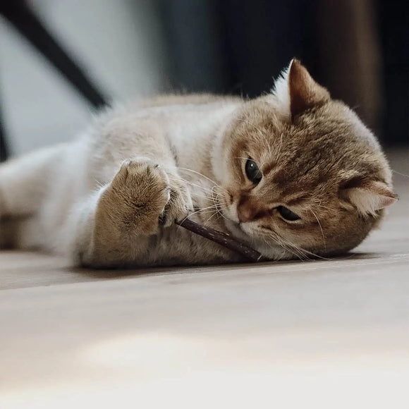 Ne&No® Matatabi-Stäbchen für Katzen - 3er-Set in Geschenkbox