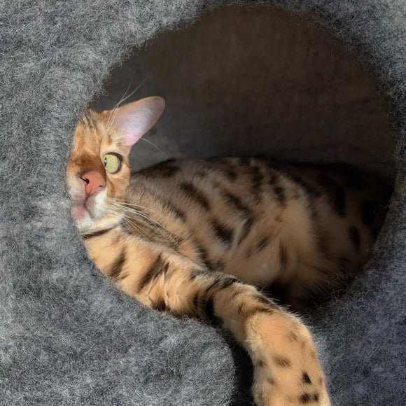 Mishum - Cat Caves Cocoon - Cucce