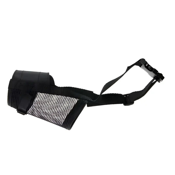 Museruola - Museruole