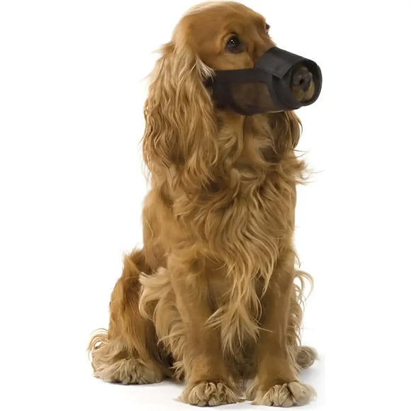 Museruola - XS - Museruole