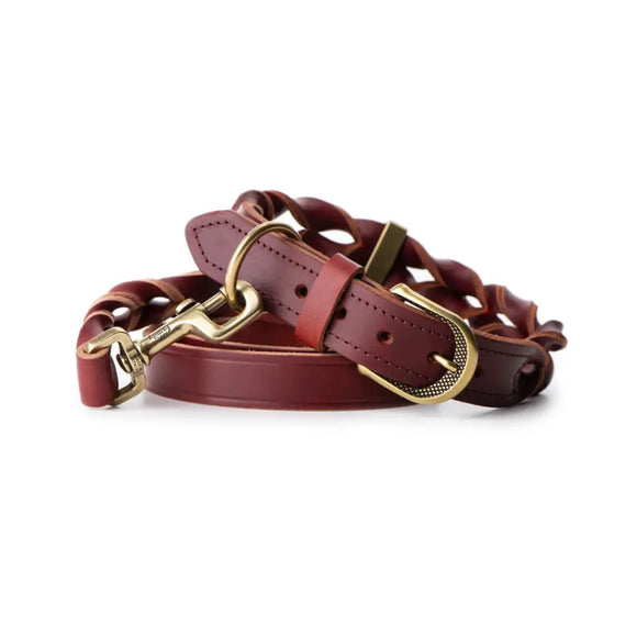 My Family - Collare Ascot - Collari