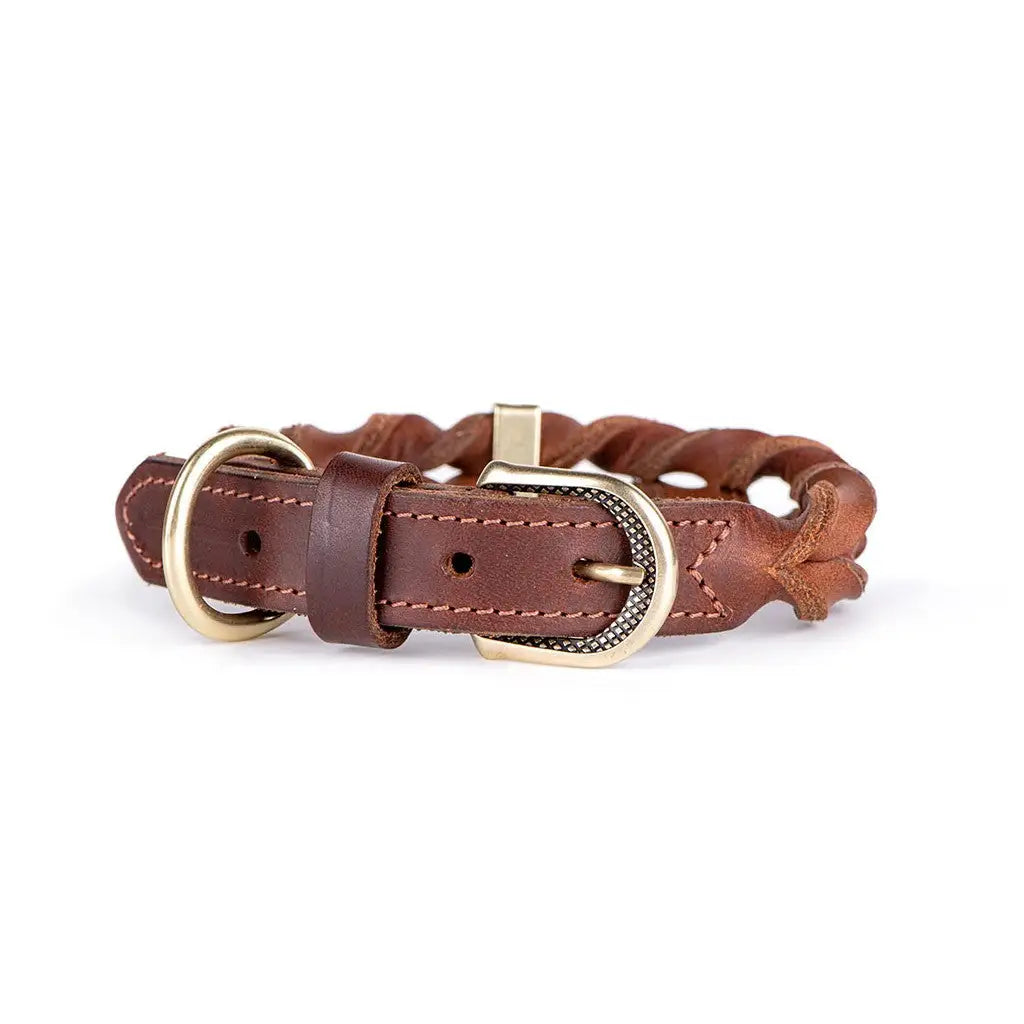 My Family - Collare Ascot - Marrone / S - Collari