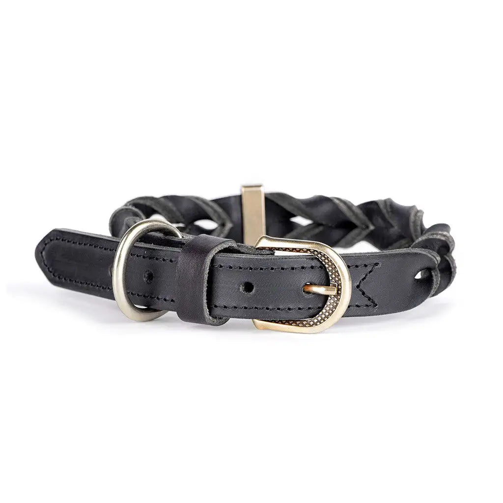My Family - Collare Ascot - Nero / S - Collari