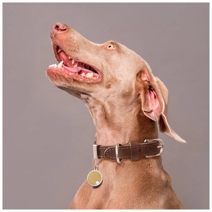 My Family - Collare Ginevra - Collari