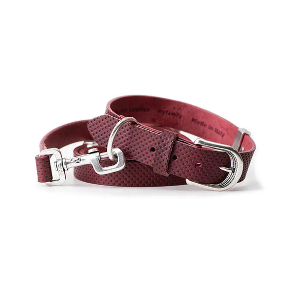 My Family - Collare Monza - Collari