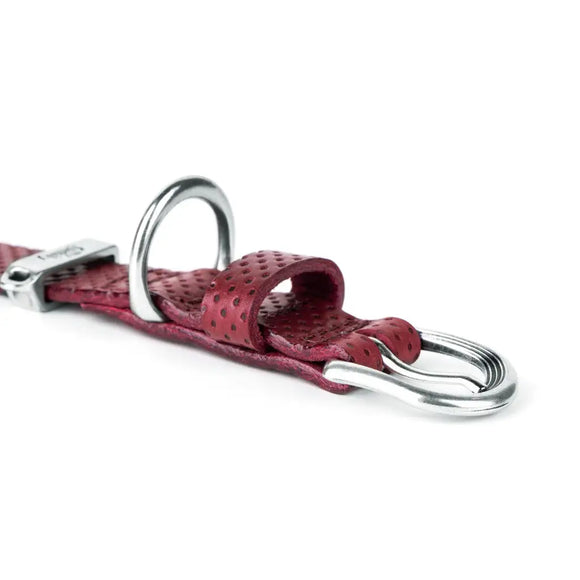 My Family - Collare Monza - Collari