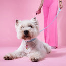 My Family - Collare Saint Tropez - Collari