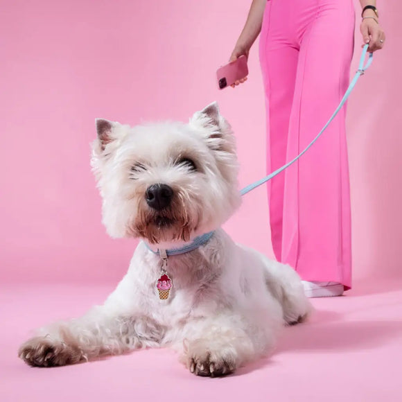 My Family - Collare Saint Tropez - Collari