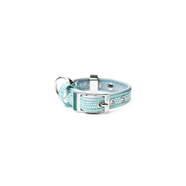 My Family - Collare Saint Tropez - Turchese / 3XS - Collari