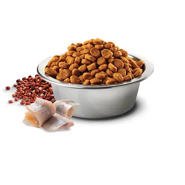 N&D Cat Quinoa Skin & Coat Aringa - Super Premium