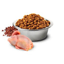 N&D Cat Quinoa Skin & Coat Quaglia - 5 Kg - Super Premium