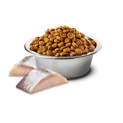 N&D Kitten Aringa spirulina e bacche di Goji - 1,5 Kg - Super Premium