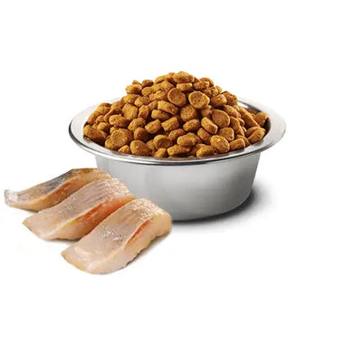 N&D Ocean Cat Aringa e Arancia Neutered - Super Premium
