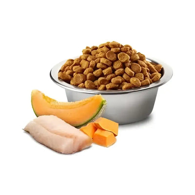 N&D Ocean Dog Merluzzo Zucca e Melone Puppy Mini - Super Premium