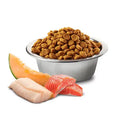 N&D Ocean Dog Salmone Merluzzo e Melone Mini - 2,5 Kg - Super Premium