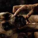 Nellumbo - Balsamo naturale per il Tartufo - 50 ml - Detergenti e Igiene