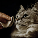 Nellumbo - Lozione Detergente Occhi e Orecchie - 100 ml - Shampoo