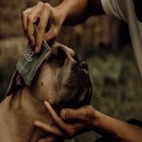 Nellumbo - Lozione Detergente Occhi e Orecchie - 100 ml - Shampoo