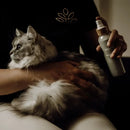 Nellumbo - Lucidante Districante - Shampoo