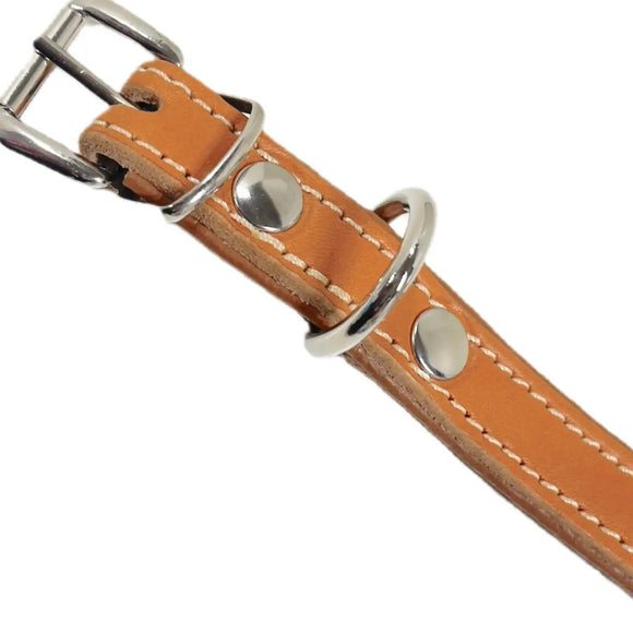 Pet Boutique - Collare in cuoio Urban - Collari