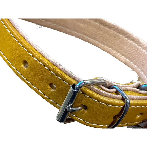 Pet Boutique - Collare in cuoio Urban - Collari