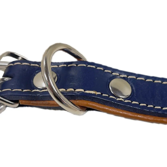 Pet Boutique - Collare in cuoio Urban - Collari