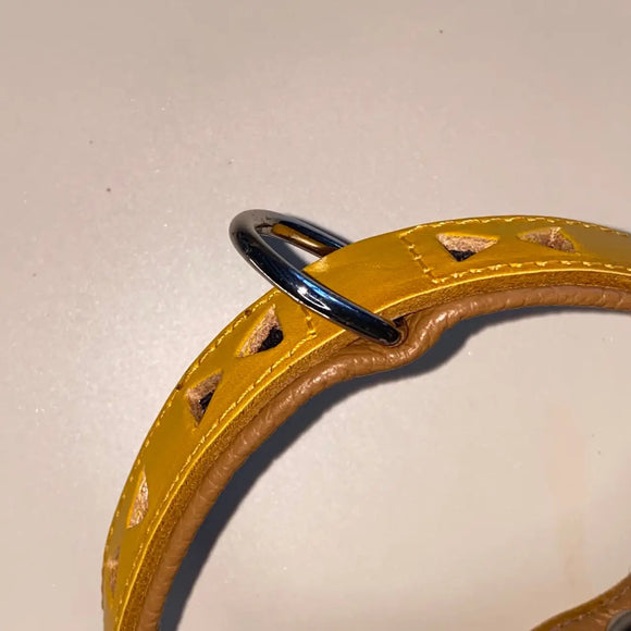 Pet Boutique - Collare Linea Miami - Collari