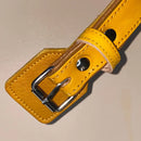 Pet Boutique - Collare Linea Miami - Collari