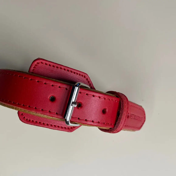 Pet Boutique - Collare Linea Miami - Collari